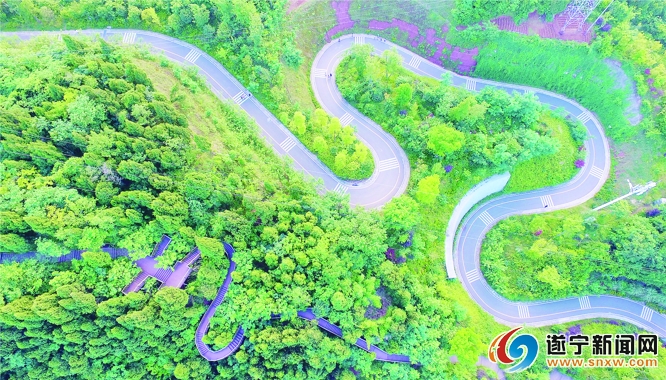 西山森林公园变天然氧吧