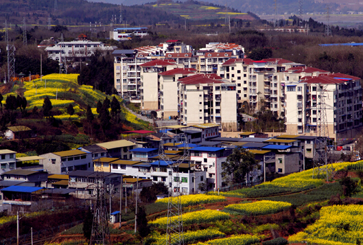 油菜花装扮乡村