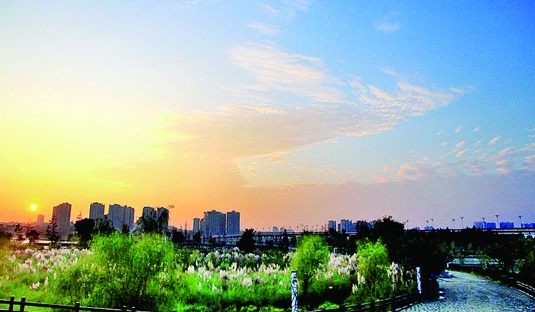 夕阳下的湿地公园