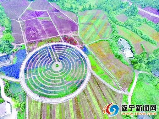 四川十里荷画旅游景区