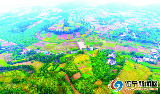 初冬的遂宁乡村美不胜收