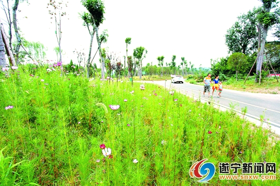 西山森林公园已成天然氧吧2