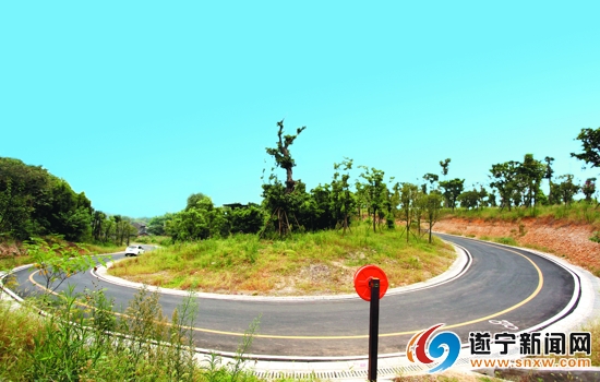 西山森林公园已成天然氧吧1