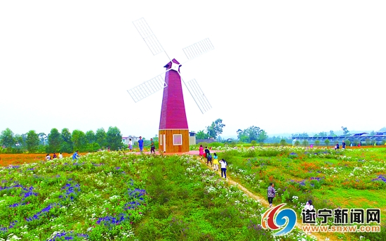 游客体验乡村游