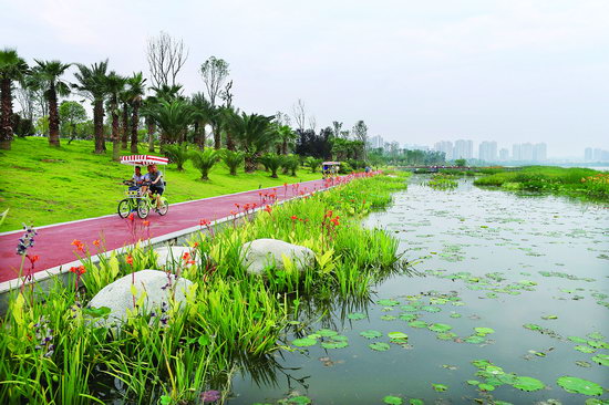 生态美景醉游客