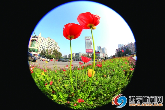 美丽遂宁 文明之城