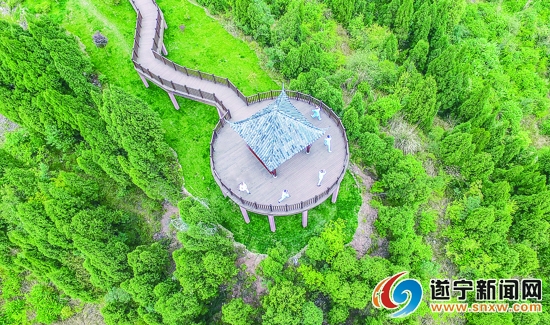 太极拳爱好者在“十里荷画”观景台练太极